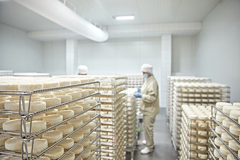 Завод «Жуковское молоко» - стандарт современного сыроварения