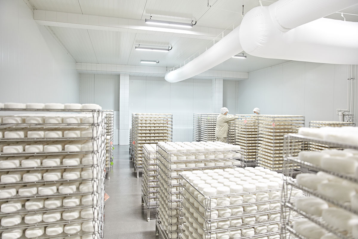 Продукт внешне представляет собой низкий цилиндр светло-желтого естественного цвета, с умеренно плотной консистенцией, упакованный в прочный, пищевой полимер