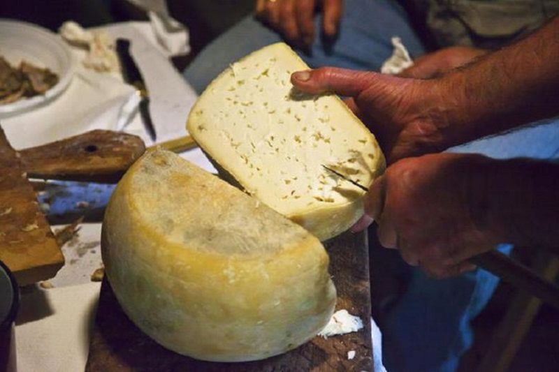 Аналоговый сырный продукт и настоящий сыр: схватка не на жизнь, а на смерть